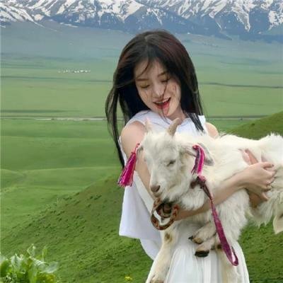 师姐出马粤语 在线观看